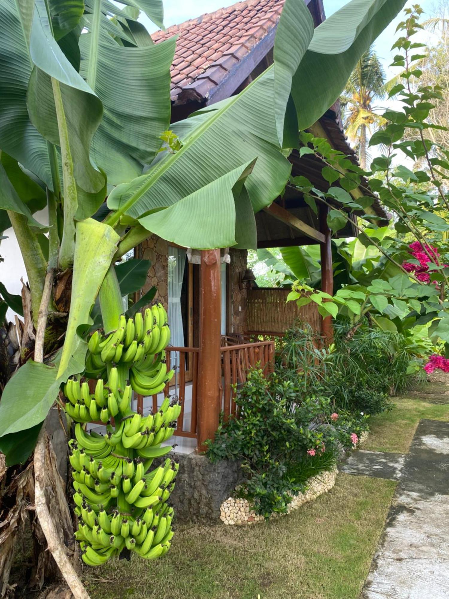 Grealeen Cottages Ped Exterior foto